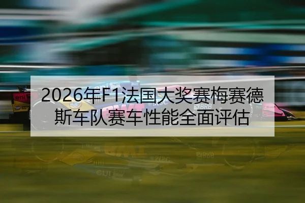 nian-fa-guo-da-jiang-sai-mei-sai-de-si-che-dui-sai-che-xing-neng-quan-mian-ping-gu-2-316.jpg