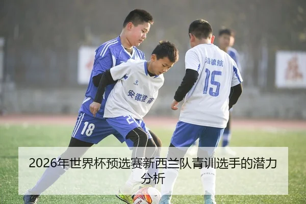 2026年世界杯预选赛新西兰队青训选手的潜力分析